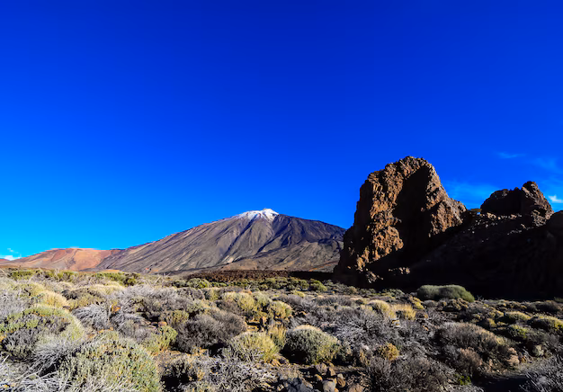 Machame Route Trek